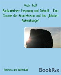 Bankenkrisen: Ursprung und Zukunft – Eine Chronik der Finanzkrisen und ihre globalen Auswirkungen - Ozgur Ergul - E-Book