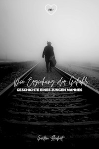 Die Erziehung der Gefühle - Gustave Flaubert - E-Book