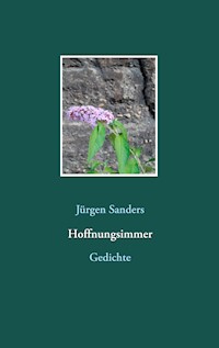 Hoffnungsimmer - Jürgen Sanders - E-Book