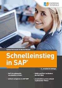 Schnelleinstieg in SAP - Martin Munzel - E-Book