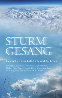 Sturmgesang - Angela Hoptich - E-Book