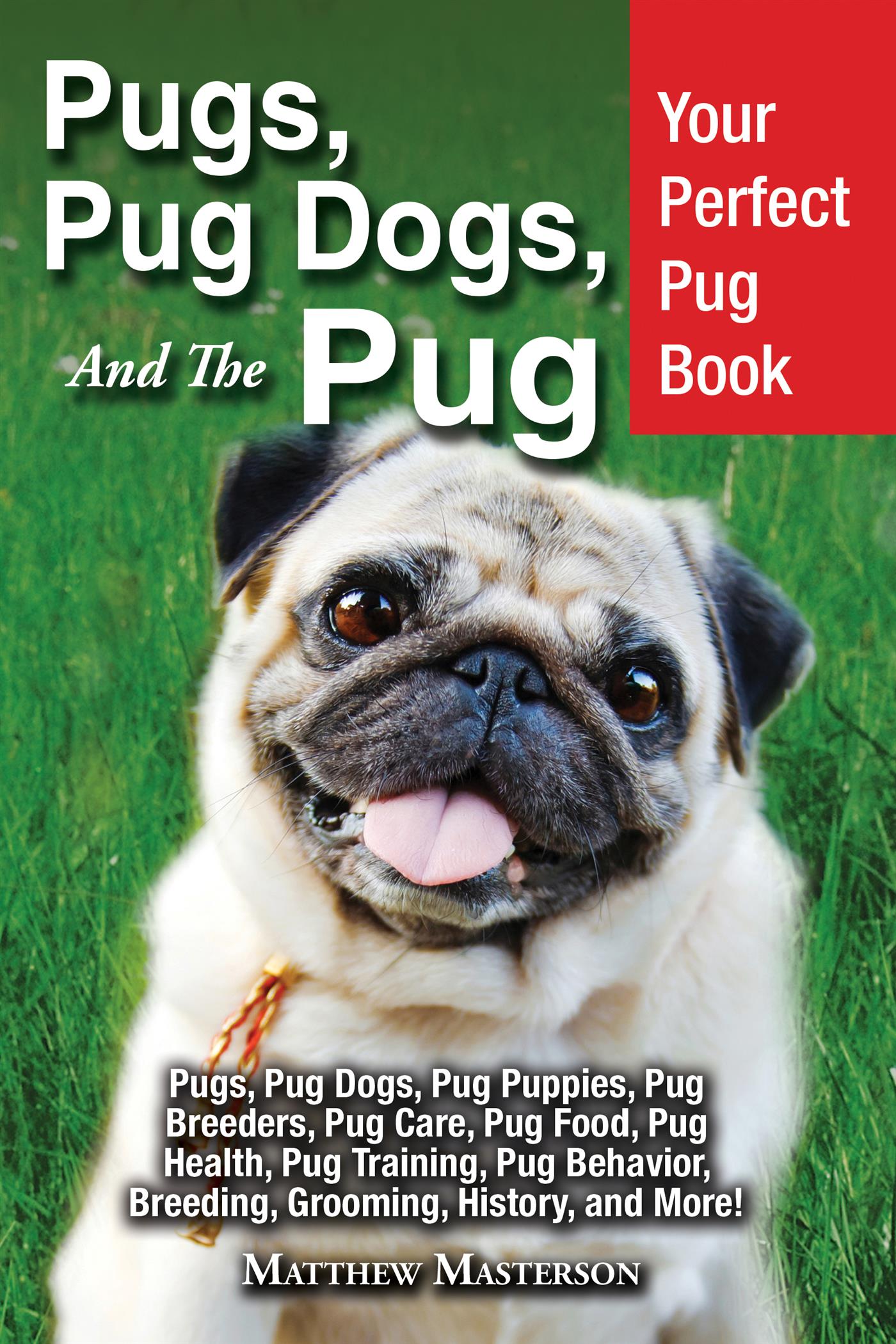 Pugs, Pug Dogs, and The Pug - Matthew Masterson - E-Book