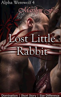 Lost Little Rabbit - Marilyn Fae - E-Book