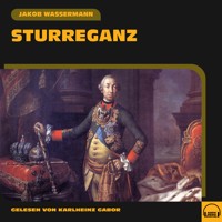 Sturreganz - Jakob Wassermann - Hörbuch