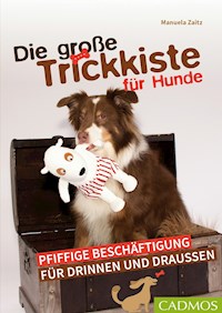 Die große Trickkiste für Hunde - Manuela Zaitz - E-Book