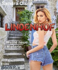 Lindenhof - Sandra Olsen - E-Book