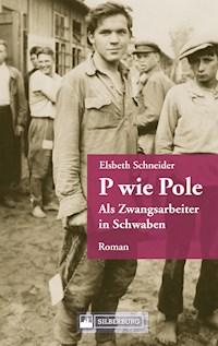 P wie Pole. Ein Roman aus Schwaben - Elsbeth Schneider-Schöner - E-Book
