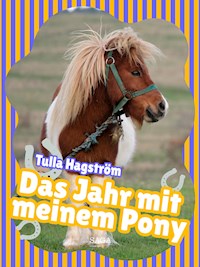 Das Jahr mit meinem Pony - Torbjörg Hagström - E-Book