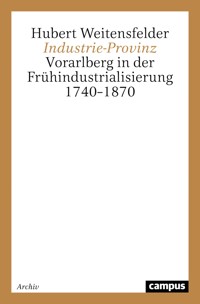 Industrie-Provinz - Hubert Weitensfelder - E-Book