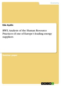 RWE. Analysis of the Human Resource Practices of one of Europe’s leading energy suppliers - Eda Aydin - E-Book