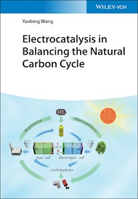 Electrocatalysis in Balancing the Natural Carbon Cycle - Yaobing Wang - E-Book