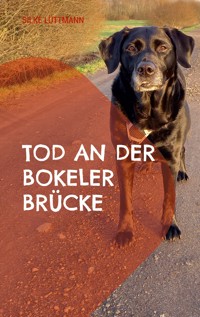 Tod an der Bokeler Brücke - Silke Lüttmann - E-Book