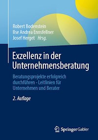 Exzellenz in der Unternehmensberatung -  - E-Book