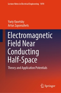 Electromagnetic Field Near Conducting Half-Space - Yuriy Vasetsky - E-Book