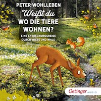 Weißt du, wo die Tiere wohnen? Eine Entdeckungsreise durch Wiese und Wald - Peter Wohlleben - Hörbuch