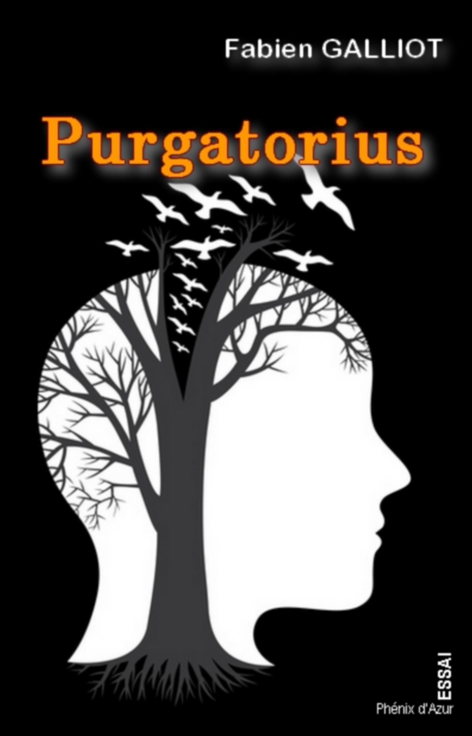 Purgatorius - GALLIOT - E-Book