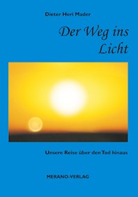 Der Weg ins Licht - Dieter Heri Mader - E-Book