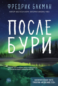 После бури - Фредрик Бакман - E-Book