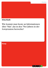 Wie kommt man heute an Informationen über "blat", das in den 70er Jahren in der Sowjetunion herrschte? - Irina Koch - E-Book