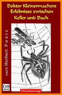 Doktor Kleinermachers Erlebnisse zwischen Keller und Dach - Claus H. Stumpff - E-Book