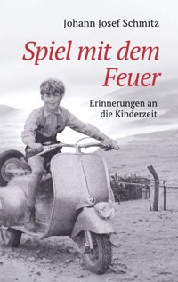 Spiel mit dem Feuer - Johann Josef Schmitz - E-Book