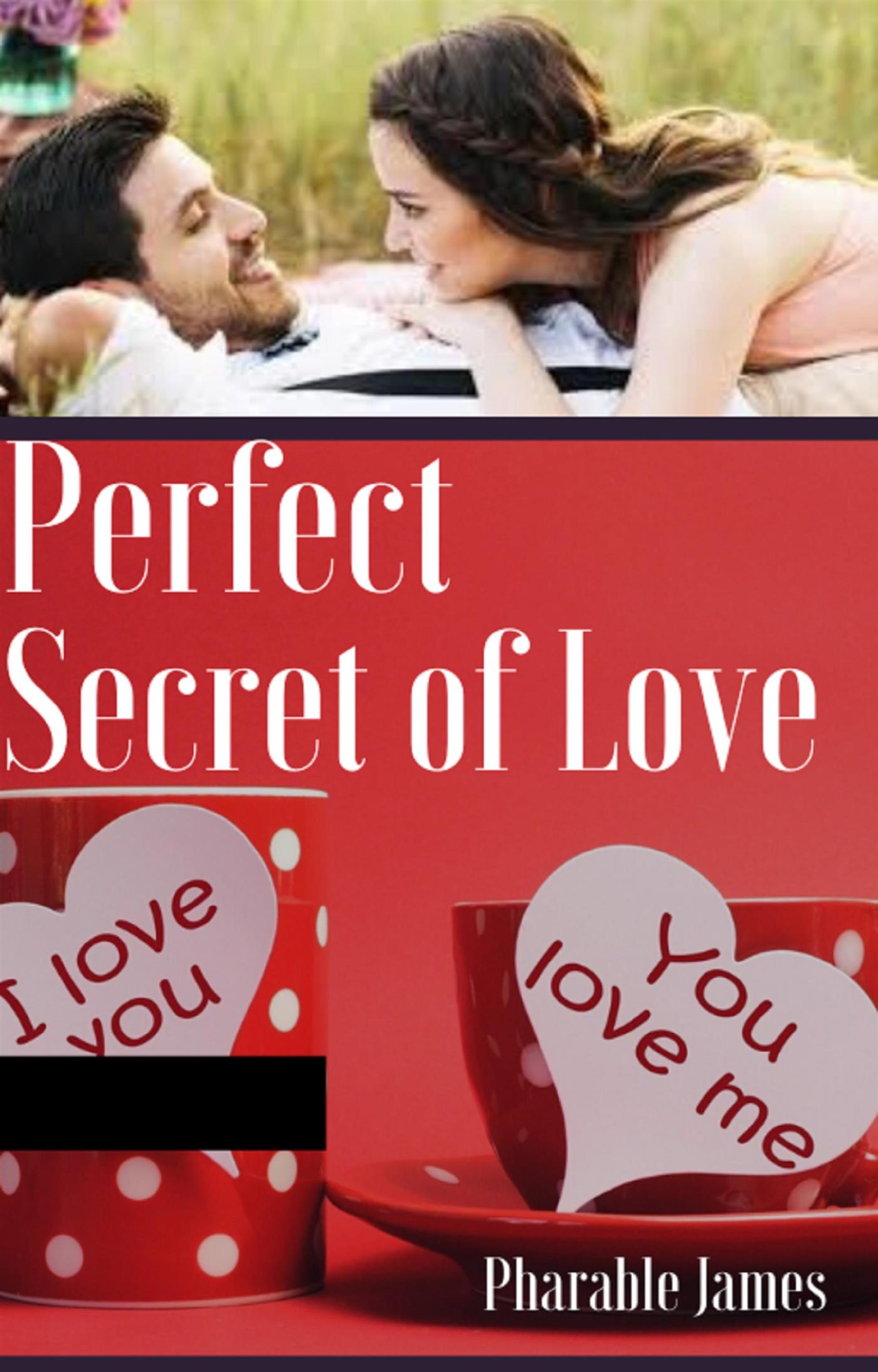 Perfect secret of love - Pharable - E-Book