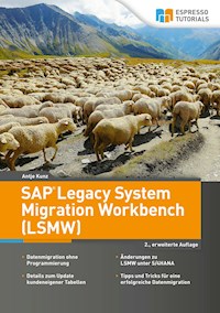 SAP Legacy System Migration Workbench (LSMW) – 2., erweiterte Auflage - Antje Kunz - E-Book