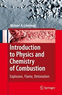Introduction to Physics and Chemistry of Combustion - Michael A. Liberman - E-Book