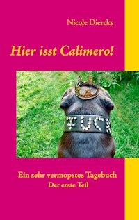 Hier isst Calimero! - Nicole Diercks - E-Book