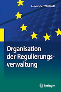 Organisation der Regulierungsverwaltung - Alexander Wellerdt - E-Book