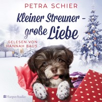 Kleiner Streuner - große Liebe (ungekürzt) - Petra Schier - Hörbuch