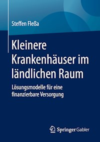 Kleinere Krankenhäuser im ländlichen Raum - Steffen Fleßa - E-Book
