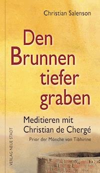Den Brunnen tiefer graben - Christian Salenson - E-Book