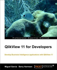 QlikView 11 for Developers - Barry Harmsen - E-Book
