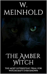 The Amber Witch - Wilhelm Meinhold - E-Book