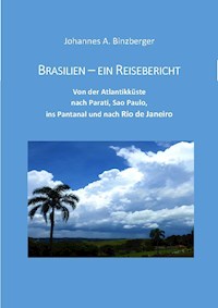 Brasilien - ein Reisebericht - Johannes A. Dr. Binzberger - E-Book