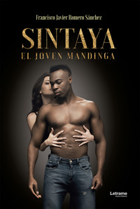 Sintaya, el joven mandinga - Francisco Javier Romero Sánchez - E-Book