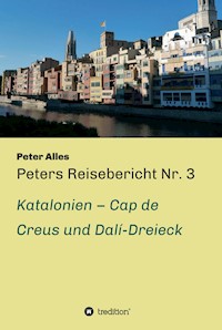 Peters Reisebericht Nr. 3 - Peter Alles - E-Book