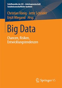 Big Data -  - E-Book