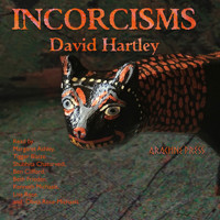 Incorcisms - David Hartley - Hörbuch