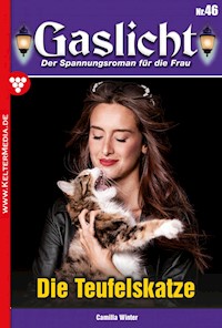 Die Teufelskatze - Camilla Winter - E-Book