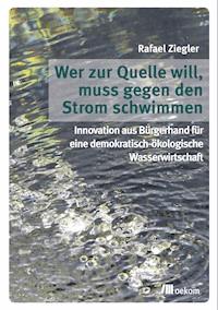 Wer zur Quelle will, muss gegen den Strom schwimmen - Rafael Ziegler - E-Book