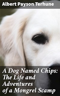 A Dog Named Chips: The Life and Adventures of a Mongrel Scamp - Albert Payson Terhune - E-Book