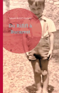 Du Rififi à Bucarest - Sylvain Audet-Găinar - E-Book