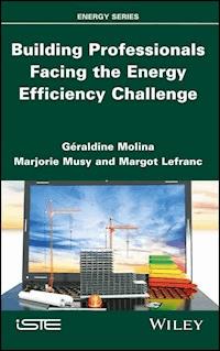 Building Professionals Facing the Energy Efficiency Challenge - Geraldine Molina - E-Book