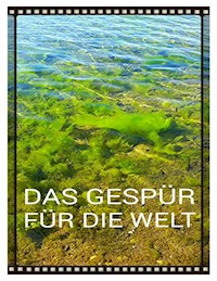 Das Gespür für die Welt - Tom De Toys - E-Book