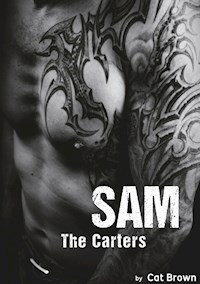 The Carters - Cat Brown - E-Book