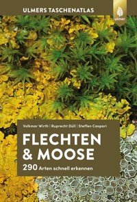 Flechten und Moose - Volkmar Wirth - E-Book
