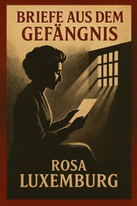 Briefe aus dem Gefängnis - Rosa Luxemburg - E-Book