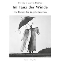 Im Tanz der Winde - Dora Maria Winternitz - E-Book